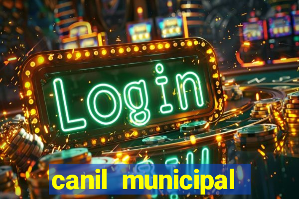 canil municipal porto alegre